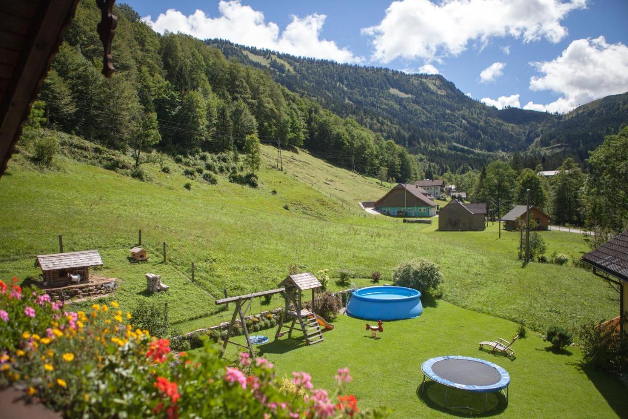 Bio-Bauernhof Vordergrubenbach - Familie Oberascher Хинтерзее Экстерьер фото